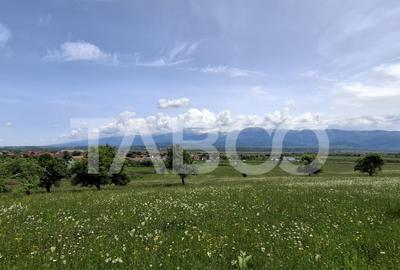 COMISION 0% Teren intravilan de vanzare 4460 mp Bradu Sibiu - 6