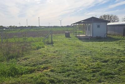Teren de 2527 mp, în Silistraru - 6