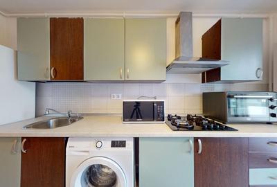 Apartament cu 2 camere semidecomandat, mobilat în Timișoara - 12