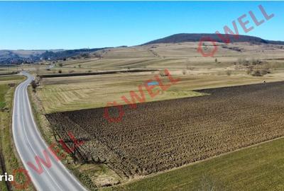 Spațiu comercial, în Bățani - 2