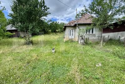 Casă cu Teren 5000 Mp în Drăculea Bandului - 2