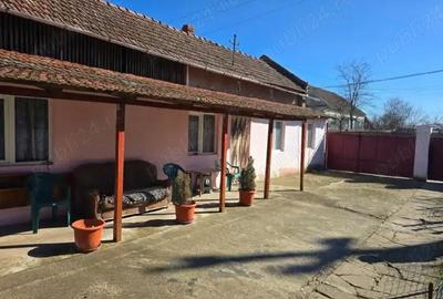 Casă cu Teren 980 Mp în Satchinez - 5