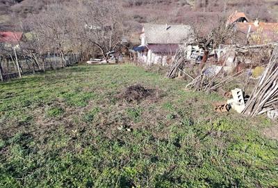 Casă cu 3 camere în Central