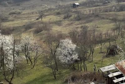 Casa si teren generos de vanzare-Olanesti(sat Tisa) - 4