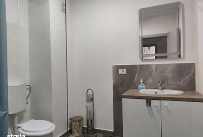 Apartament cu 2 camere în Băile Felix