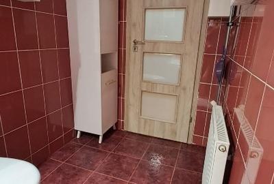 Apartament cu 3 camere, mobilat în Griviței - 12