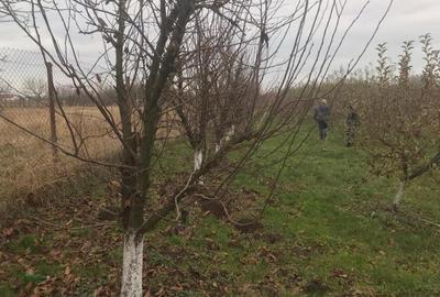 Alios - Teren Intravilan - 1470Mp Alios - Teren Intravilan - 1470Mp - 4