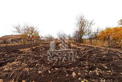 Teren 1000mp Cu Utilitati Dudesti Noi - 9