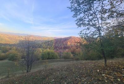 Teren intravilan de vanzare in Telega - 15