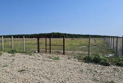 Teren de 780 mp, în Exterior Vest - 5