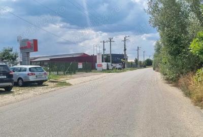 Vand teren intravilan, Pitesti, iesire spre Albota, in sup de 30000 mp - 2
