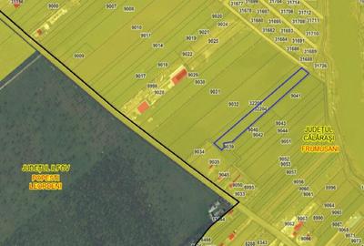 FRUMUSANI-ORASTI, LOT 7630 MP! - 4