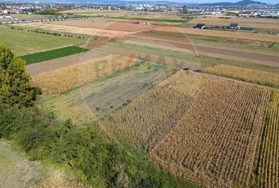 Teren agricol intravilan de 2242 mp, în Stupini - 4