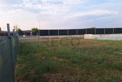 Reco, teren intravilan Alesd - 5