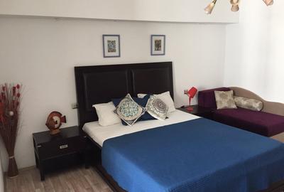 Garsoniera  Cal. Victoriei langa Hotel Radisson,bloc solid,termoizolat - 4