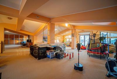 DACIA - Vila D+P+1E+M, teren 780 mp, deschidere 24 ml. - 59