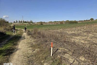 Teren de 5000 mp, în Mihai Eminescu - 1