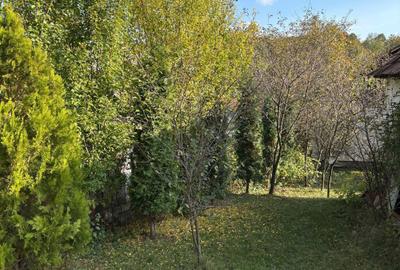 Casă cu 2 camere cu Teren 650 Mp în Vulcana de Sus - 7