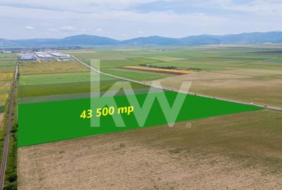 Teren de vanzare I 8 Euro/ mp I Deschidere la drum - Harman - 2