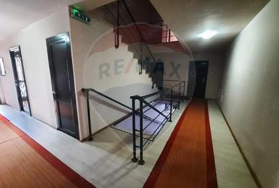 Casă cu Teren 6000 Mp în Lepșa - 6