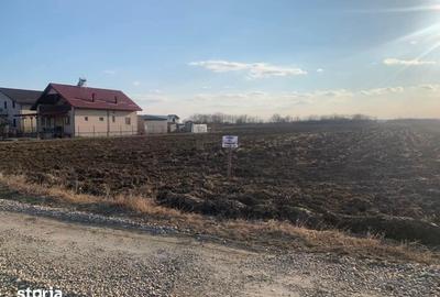Teren de 4700 mp, în Florești - 3