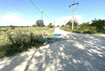 Vanzare teren intravilan Baicoi Vanzare teren intravilan Baicoi - 7