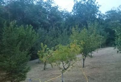 Casă cu Teren 2800 Mp în Văleni - 2