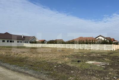 Teren de 1100 mp, 2 fronturi stradale la Beregsau Mare, zona - 4