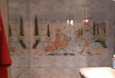 Vanzare 2 camere lipovei - 10