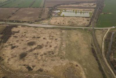 Teren extravilan in Ineu - 1