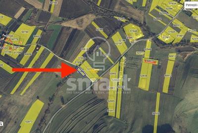 Spațiu comercial, în Petrești - 12