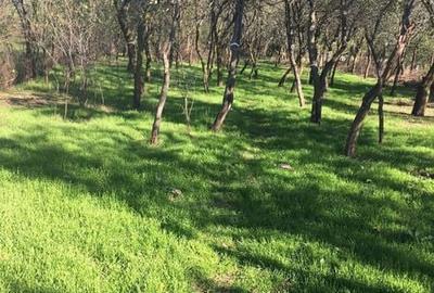 Casă cu 3 camere cu Teren 75 Mp în Corbii Mari - 2