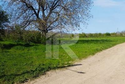 Teren Construcții intravilan de 10000 mp, în Grădiștea - 17