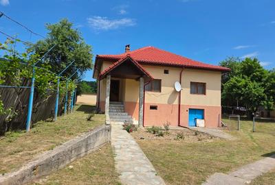 Casă individuală cu 4 camere cu Teren 3692 Mp în Strâmba-Vulcan - 2