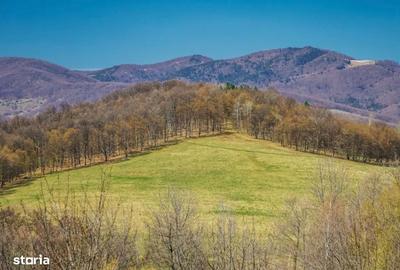 Teren de 40001 mp, în Teișani - 1