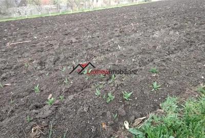 Teren de 600 mp, în Suceagu - 3