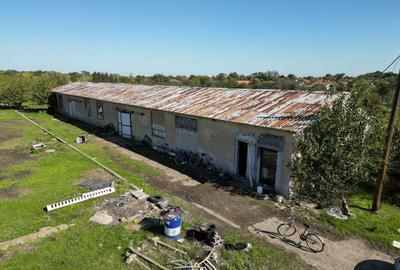 Hala de 430 mp ?i teren intravilan 2.5 ha Macea - 5