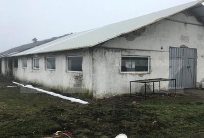 Spațiu comercial, de 175 mp, în Central - 9