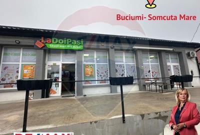 SPATIU COMERCIAL la sosea in  Buciumi - 5
