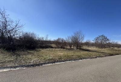 Teren Construcții de 9685 mp, în Păulești - 9