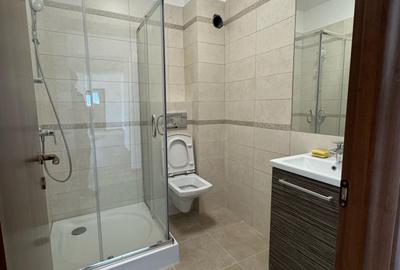 Penthouse de vanzare in Buna Ziua / Bonjour Residence - 9