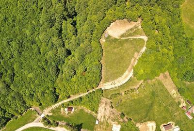 Teren de 16000 mp, în Poiana Mărului - 3