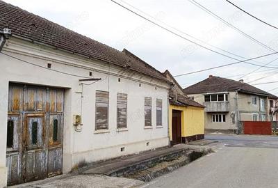 CASA 2 CAMERE BELOBRESCA (493 MP) - 4