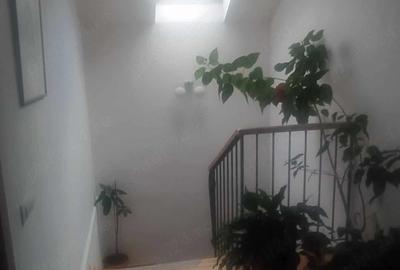 Casă cu 5 camere cu Teren 500 Mp în Sânpetru - 6