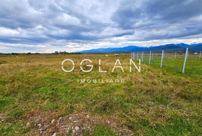 Teren Construcții extravilan de 1000 mp, în Est - 10