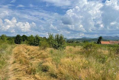 Teren de vanzare in Meziad. - 2