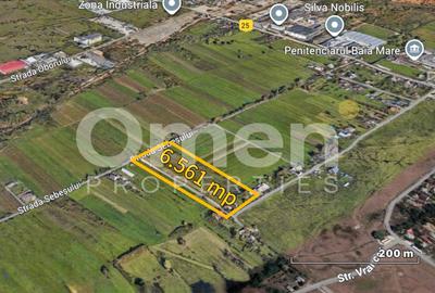 Teren Construcții intravilan de 6561 mp, în Exterior Est - 1