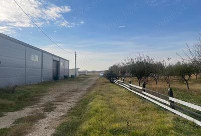 Teren de 370000 mp, în Pietroasele - 2