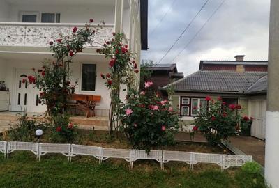 Casa de vanzare in Baia de Aries jud.Alba Casa de vanzare in Baia de Aries jud.Alba - 2