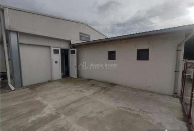 Moldova Noua, Spatiu Comercial - Macelarie, Utilata, Vanzare sau Inchiriere - 12